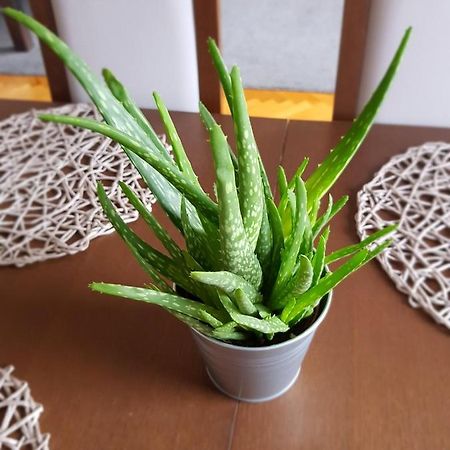 Apartament Janowskie Błonia Rumia Zewnętrze zdjęcie